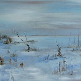 Зимняя степь