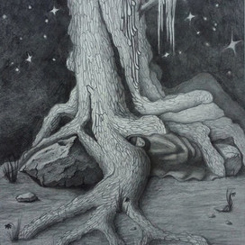 Сон под кедром