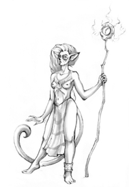 Шаман семейства кошачьих