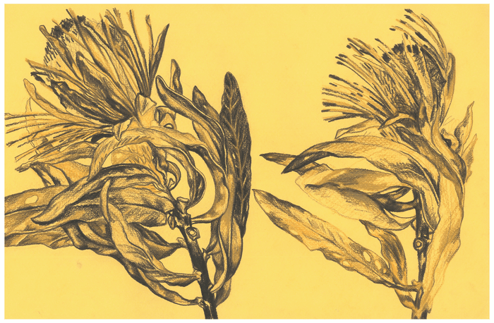 Иллюстрация книги В. Бахревского_Почему луна улыбается