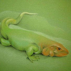 Гвианский дракон во весь рост