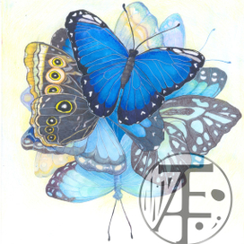 Blue butterflies. Синие бабочки