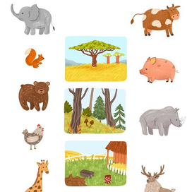 Развивашка