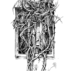 Замтари (зима)