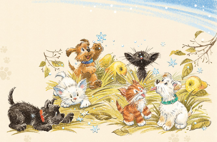 Первый снег