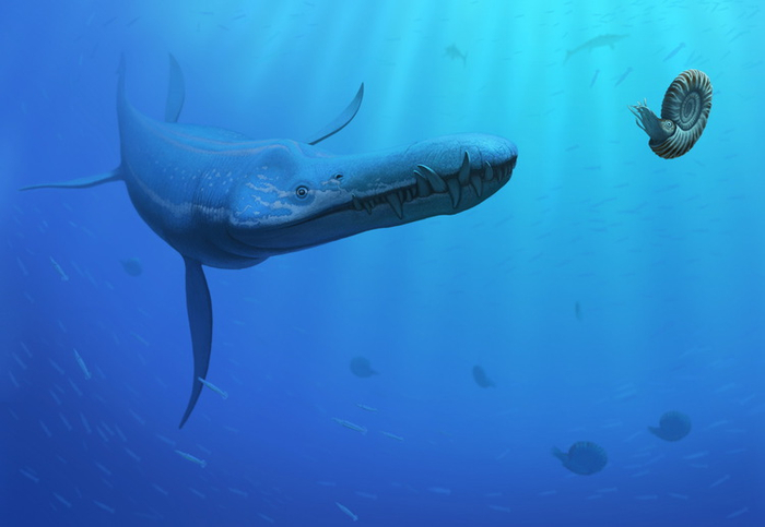 Liopleurodon rossicus (плиозавр)