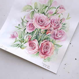 Немного  о розах