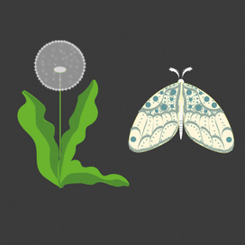 Белый одуванчик и его душа