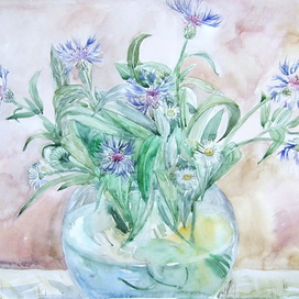 Горный василёк