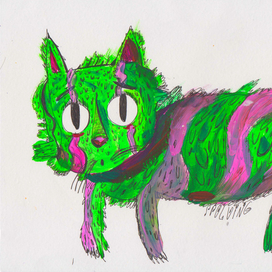 Зеленый кот