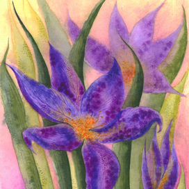 ноябрьский лесной крокус