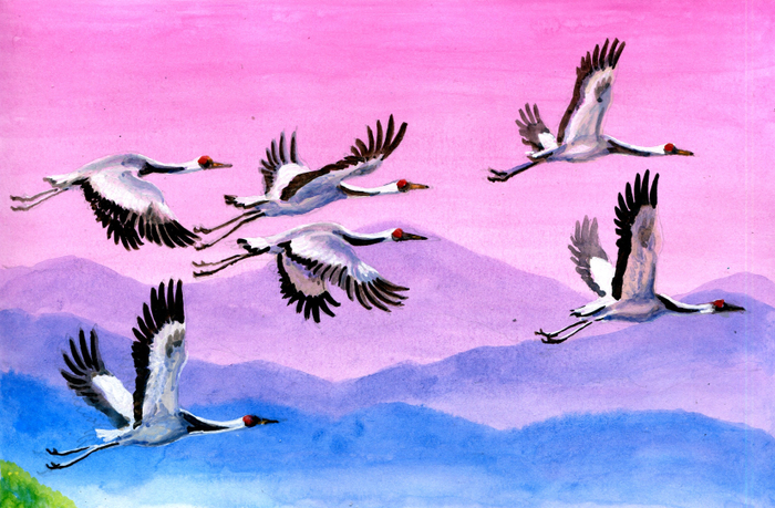 Журавли