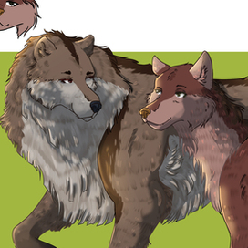 Иллюстраии персонажей  