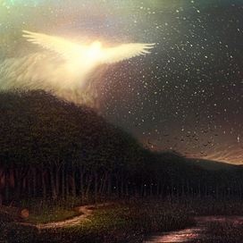 Свет и тьма