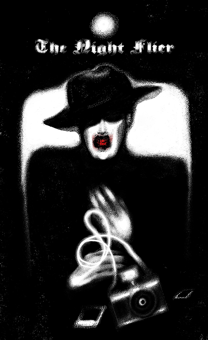 Ночной полёт