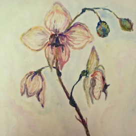 Орхидея(старая работка,акварель,сраная бумага для принтера)