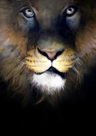 Плакат " Грозный Лев"