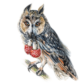 Ушастая сова с мухоморами