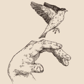 Свобода в руках