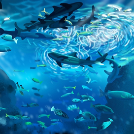 Великолепный Подводный Мир