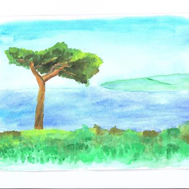 вид с террасы