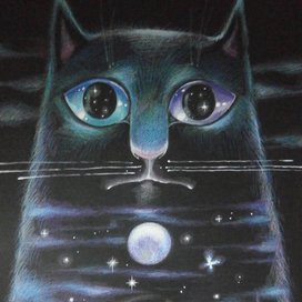 Котовселенная