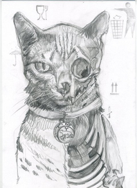 кот шредингера