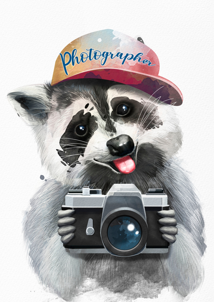 Енот фотограф