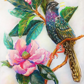 Красота и нежность