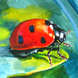 Волшебный лес