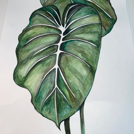 Ботаническая живопись 