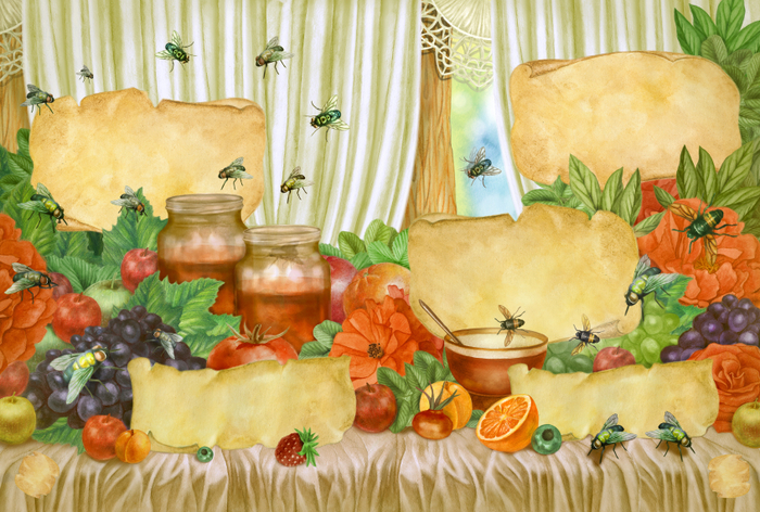 Большая книга насекомых