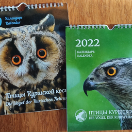 Календари с птицами
