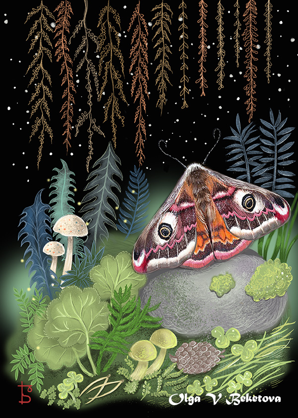 Моль в темном лесу и мох