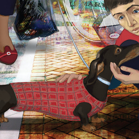 The Curious Incident of the Dog in the Night-Time