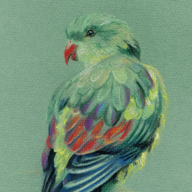 Птицы пастелью на зеленом фоне