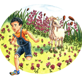 Иллюстрации для книжки-малышки