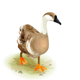 Гусь на прогулке