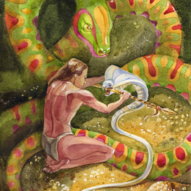 Книга джунглей. Сокровища белой кообры