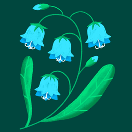 Колокольчик