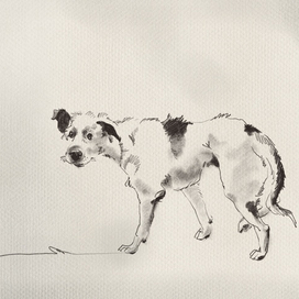 Уважаемый, покушать не найдётся?