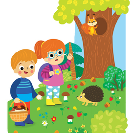 Лесные встречи