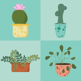 Растения в декоративных горшках