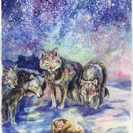 лапландская ночь 2