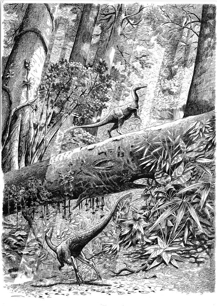 полдень в лесу