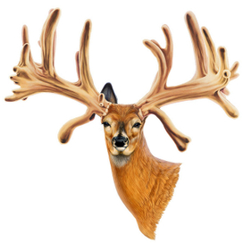 Внезапный взрыв