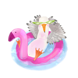 Чайка чилит