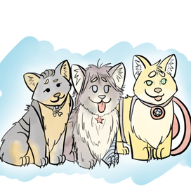 Супер-корги