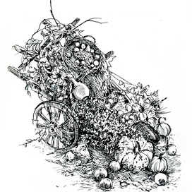 Шемодгома (осень)