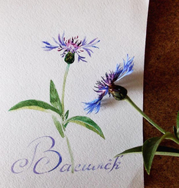 Васильковое настроение..))